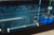  biological treatment process occuring within the greywater recycling system  