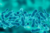  A close up of bacteria cells  