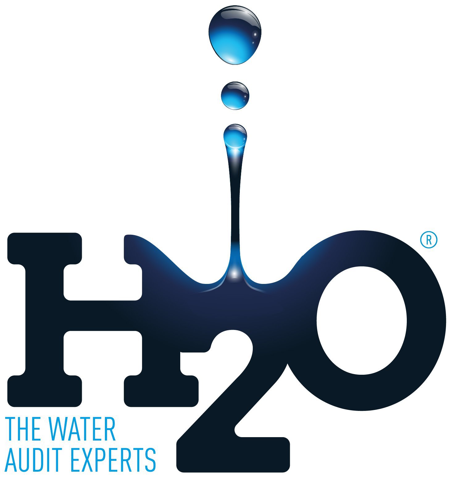 H2O logo