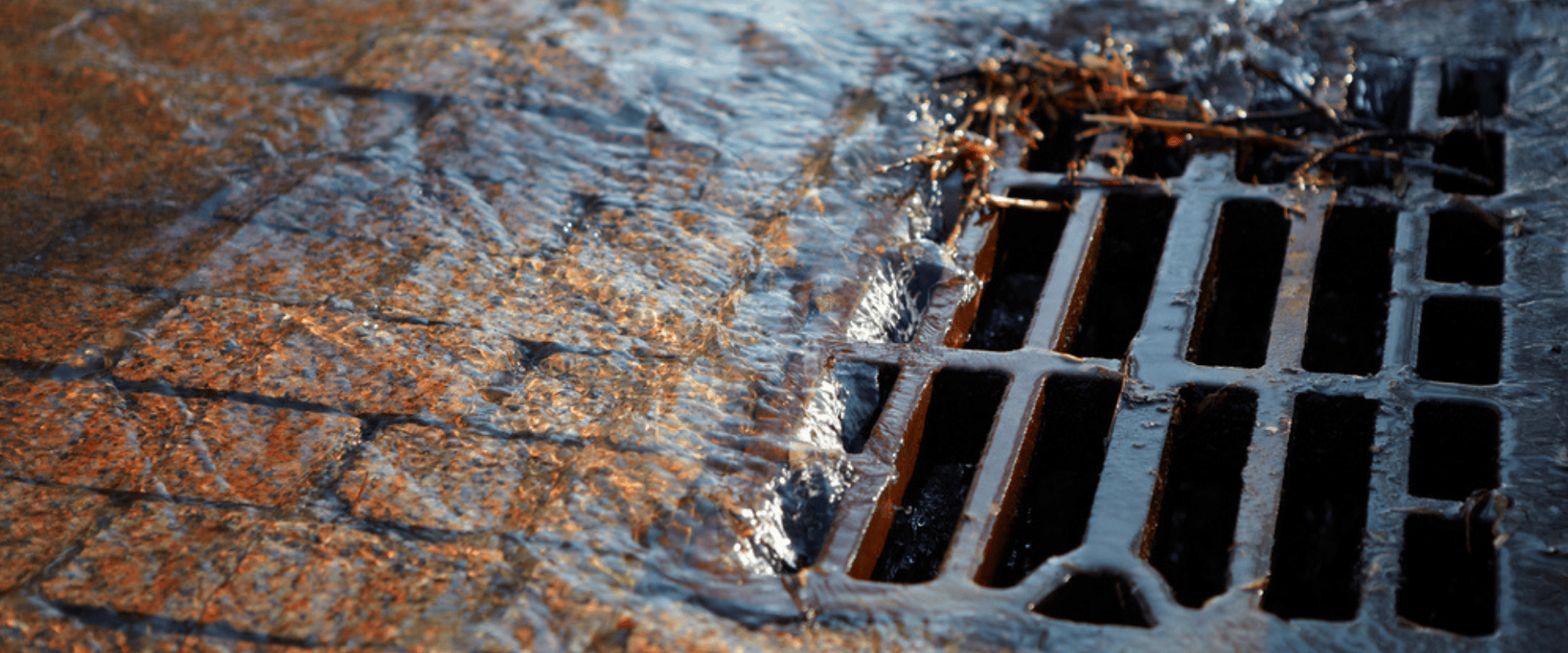 LLFA Webinar series rainwater harvesting